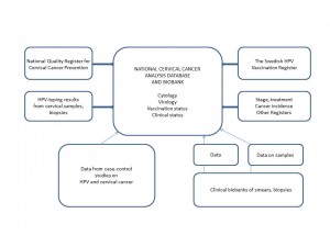 AccesschemaengMS_PS